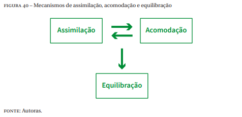 O que assimila o acomoda o e equilibra o segundo Piaget