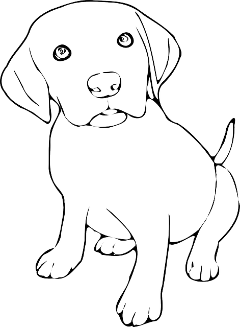 Desenhos de Cachorro para Colorir - Curso Completo de Pedagogia