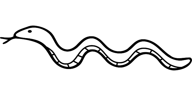 Desenhos de Cobras para Imprimir e Colorir