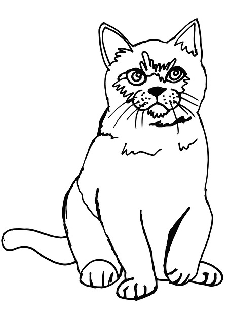 Desenhos de Gato para Colorir - Curso Completo de Pedagogia