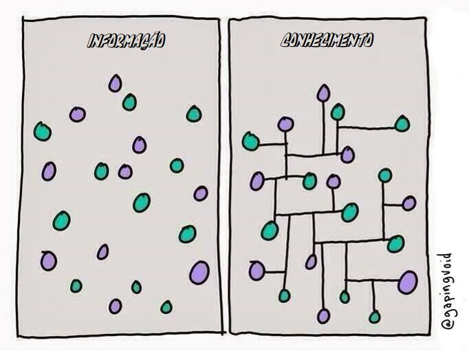 Educação e transdisciplinaridade